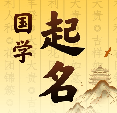 揭东国学起名 人工起名一对一
